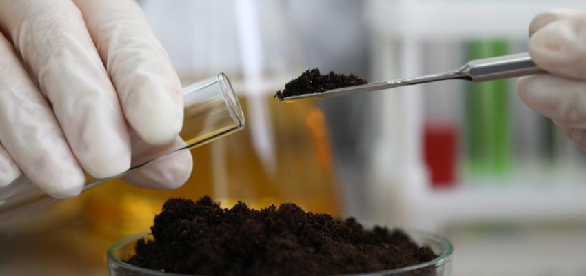 Soil Test
