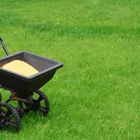 Lawn Fertilization