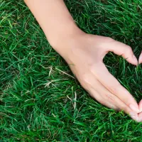 Hands forming a heart over green fertilized grass