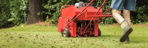 aerating lawn