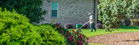 lawn care service, fertilizing lawn