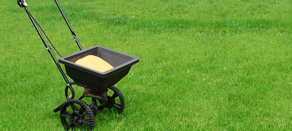 Lawn Fertilization