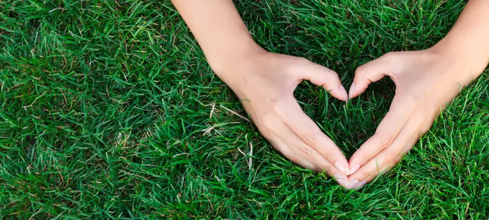 Hands forming a heart over green fertilized grass
