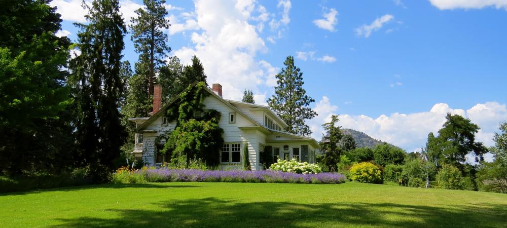 Healthy Green Lawn in Tri-County Area