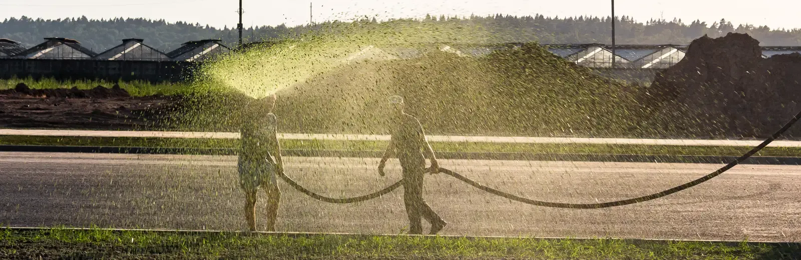 hydroseeding