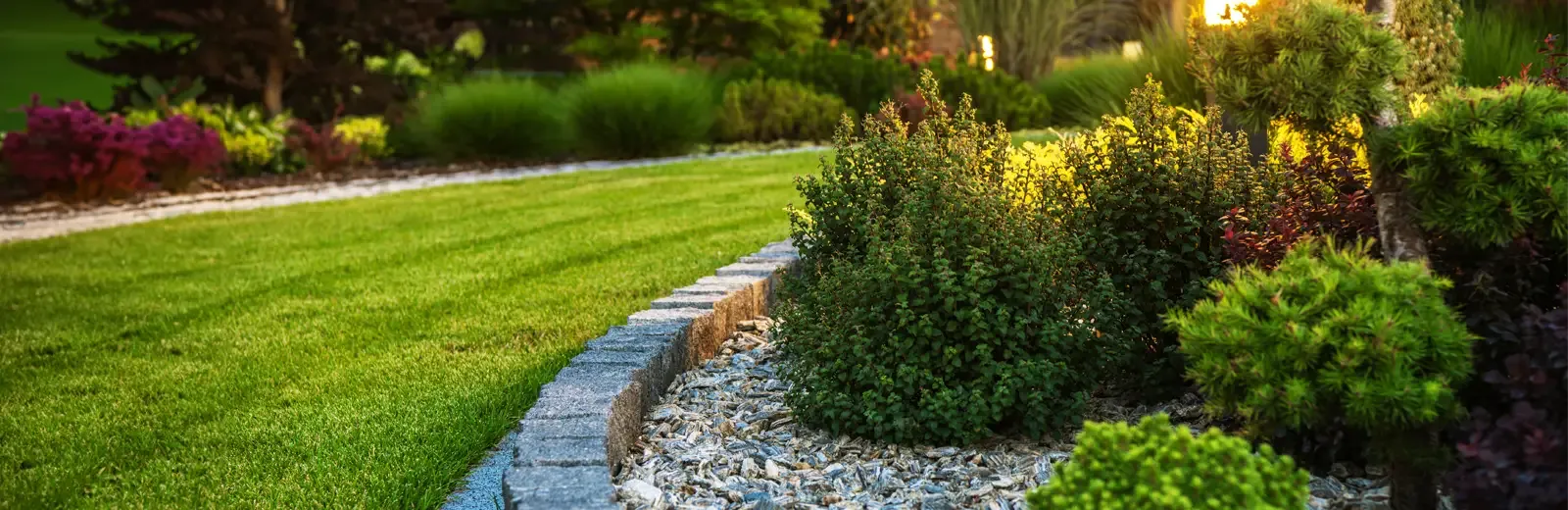 healthy trees and shrubs