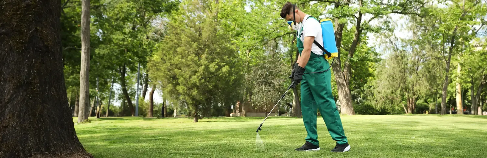 Tech spraying lawn